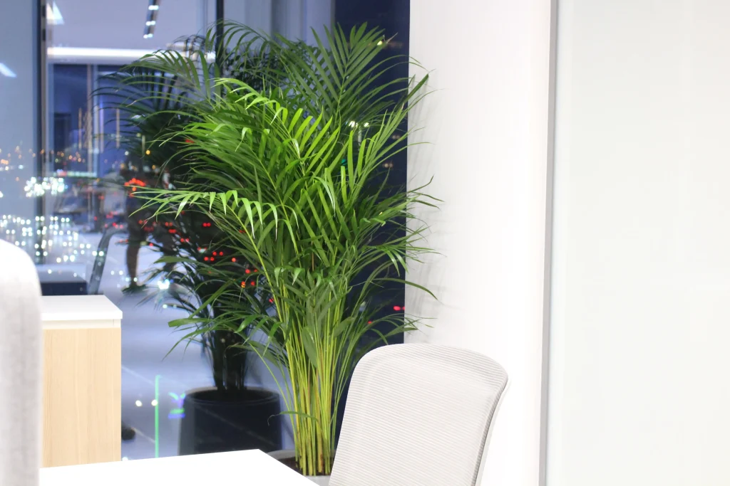 Artificial trees and potted faux plants styled in a Dubai interior by MasterMaint