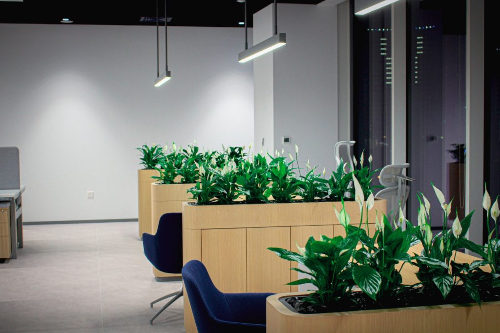 Artificial green walls and vertical gardens in Dubai featuring realistic indoor and outdoor greenery for homes, offices, hotels, and commercial spaces.