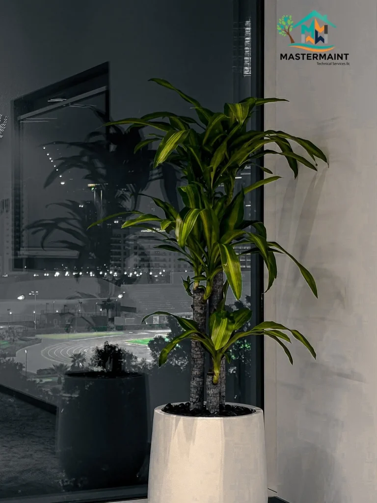 Live indoor plants arranged in a Dubai villa reception with custom planters