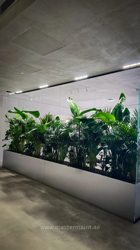 Plant styling in a Dubai office reception area with statement floor plants