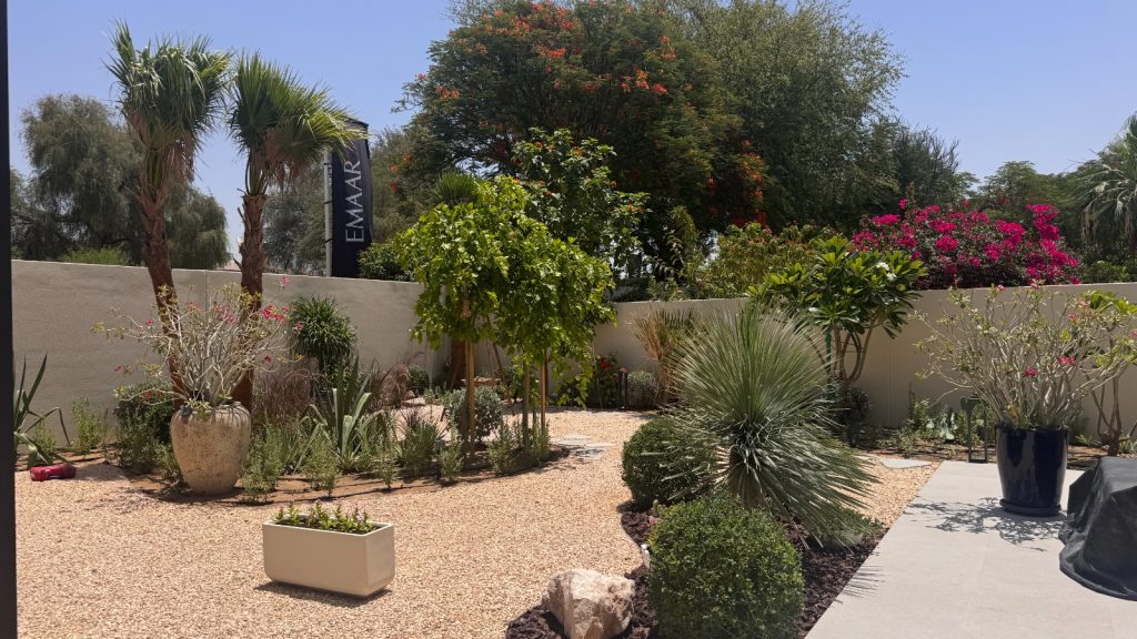 Softscaping services in Dubai featuring desert-friendly plants, palm trees, flowering shrubs, and professionally designed residential garden landscaping.