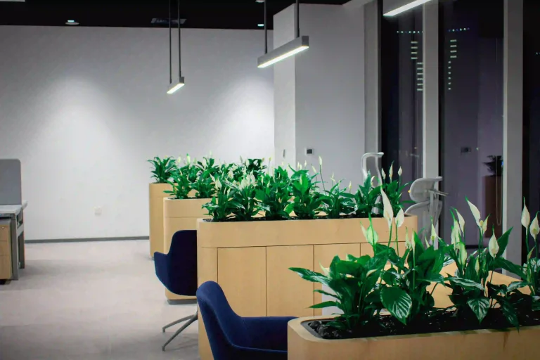 Indoor green wall and plant styling Dubai