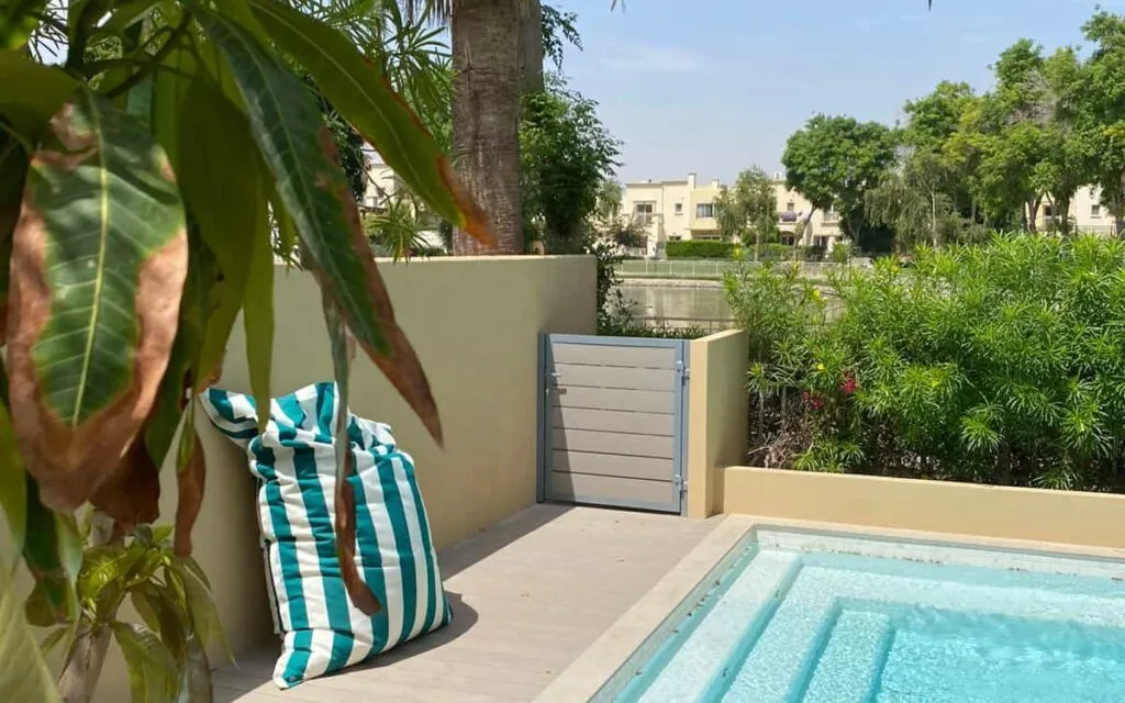 Villa swimming pool with garden planting in Dubai