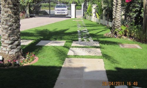 Modern garden pathway design with rectangular concrete pavers and green artificial grass, hedge wall and topiary trees, Dubai