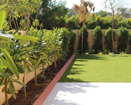 Gardener mowing and edging a lawn in a Dubai villa garden
