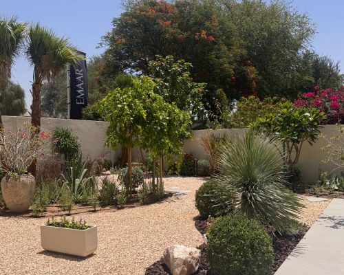Landscape Design 9 Softscaping services in Dubai featuring desert-friendly plants, palm trees, flowering shrubs, and professionally designed residential garden landscaping.