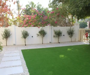 Manicured artificial grass lawn with perimeter border trees and white boundary wall in a residential Dubai villa.