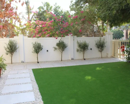 Landscape Design 7 Manicured artificial grass lawn with perimeter border trees and white boundary wall in a residential Dubai villa.