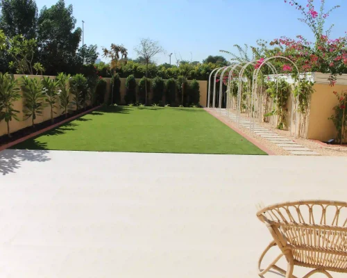 Softscaping in a Dubai villa garden with palm trees, flowering shrubs and desert-friendly plants