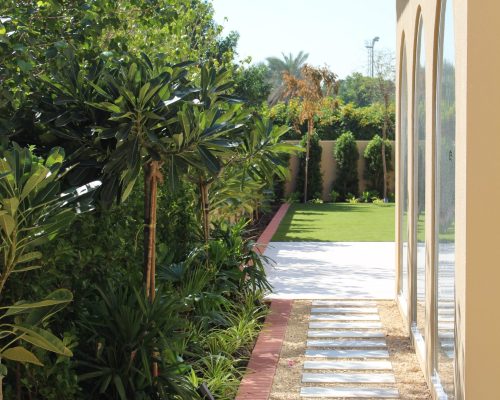 Landscape Design 4 Automatic garden irrigation system watering lawn and plants at a Dubai villa